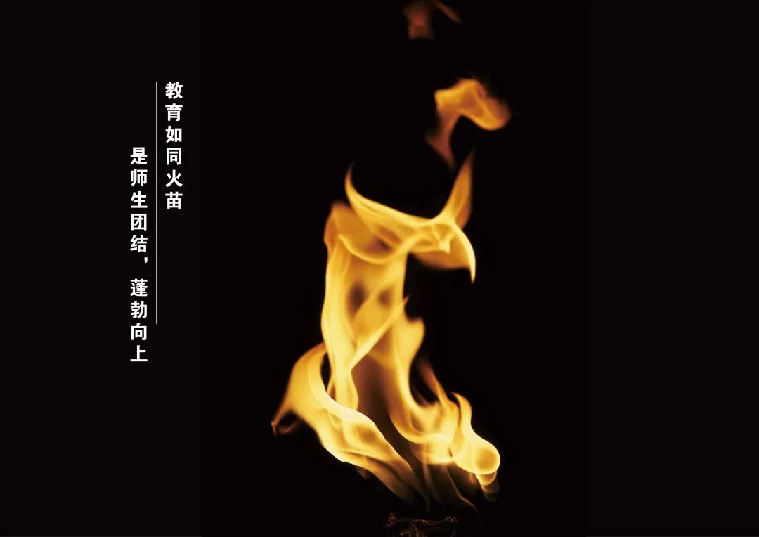 1695025136955124.jpg 640 (5).jpg